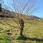 Daire Natura E Relax *