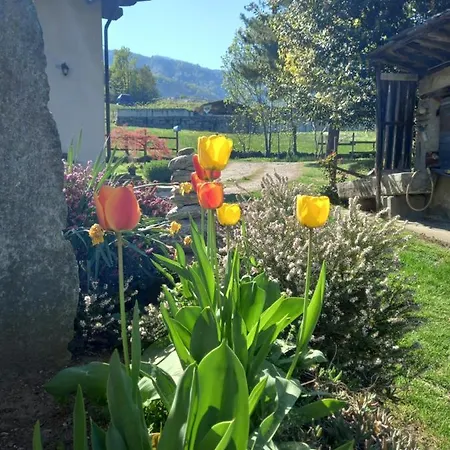Apartment Natura E Relax Barge