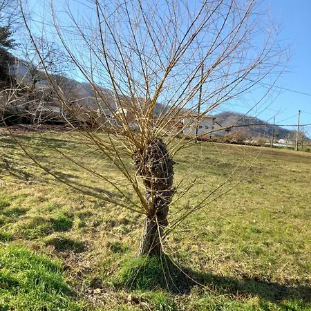 Appartamento Natura E Relax *