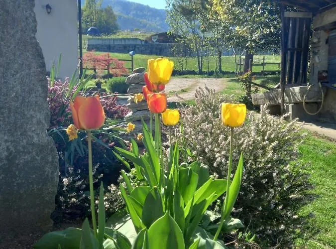 Appartement Natura E Relax Barge