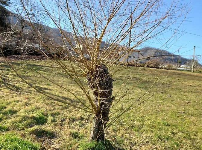 Appartement Natura E Relax *