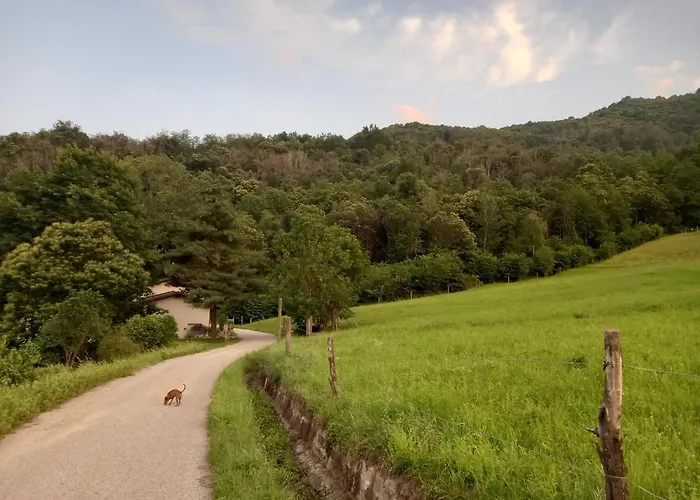 Natura E Relax بارجي